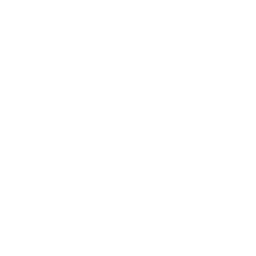 Blockchain Security Solutions